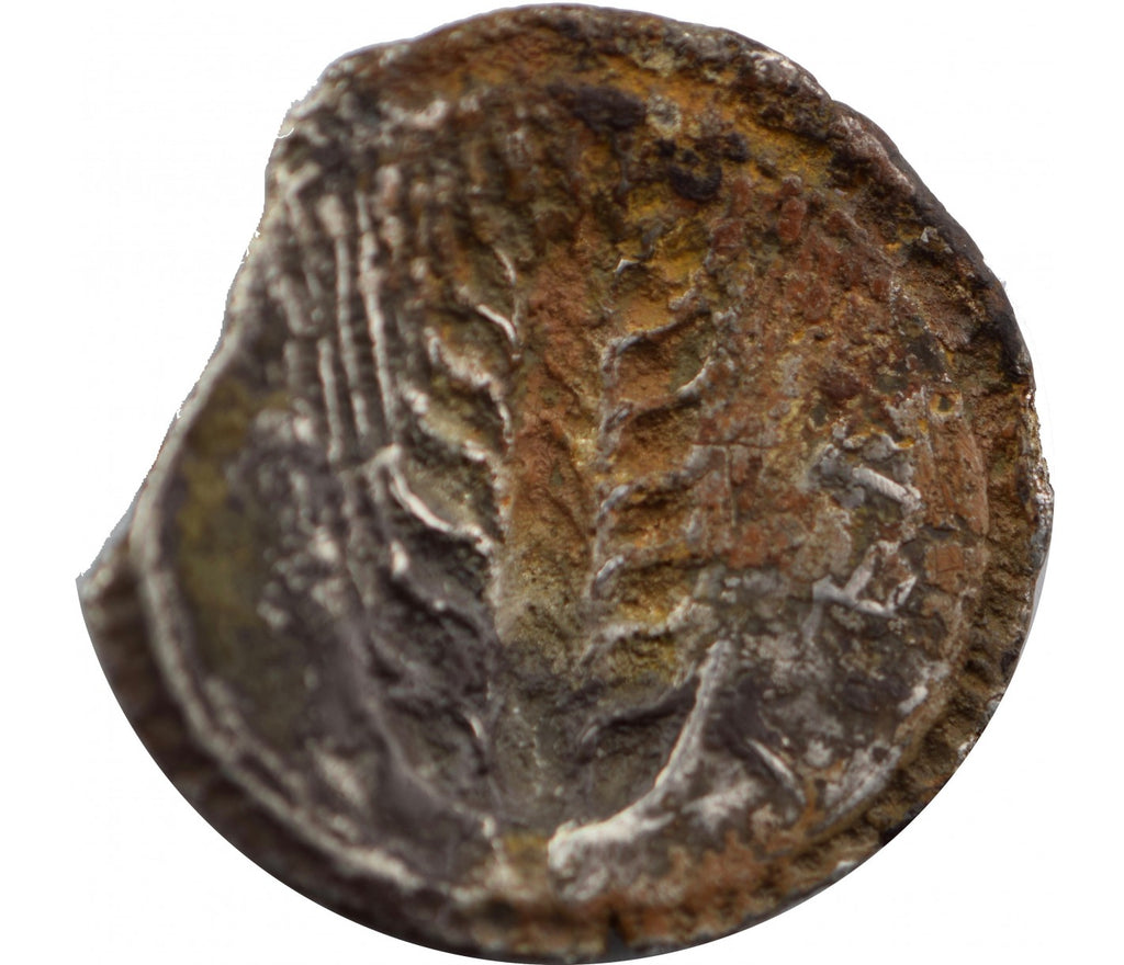 LUCANIE, MÉTAPONTE Nomos, statère (530-510 AC )