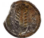 LUCANIE, MÉTAPONTE Nomos, statère (530-510 AC )